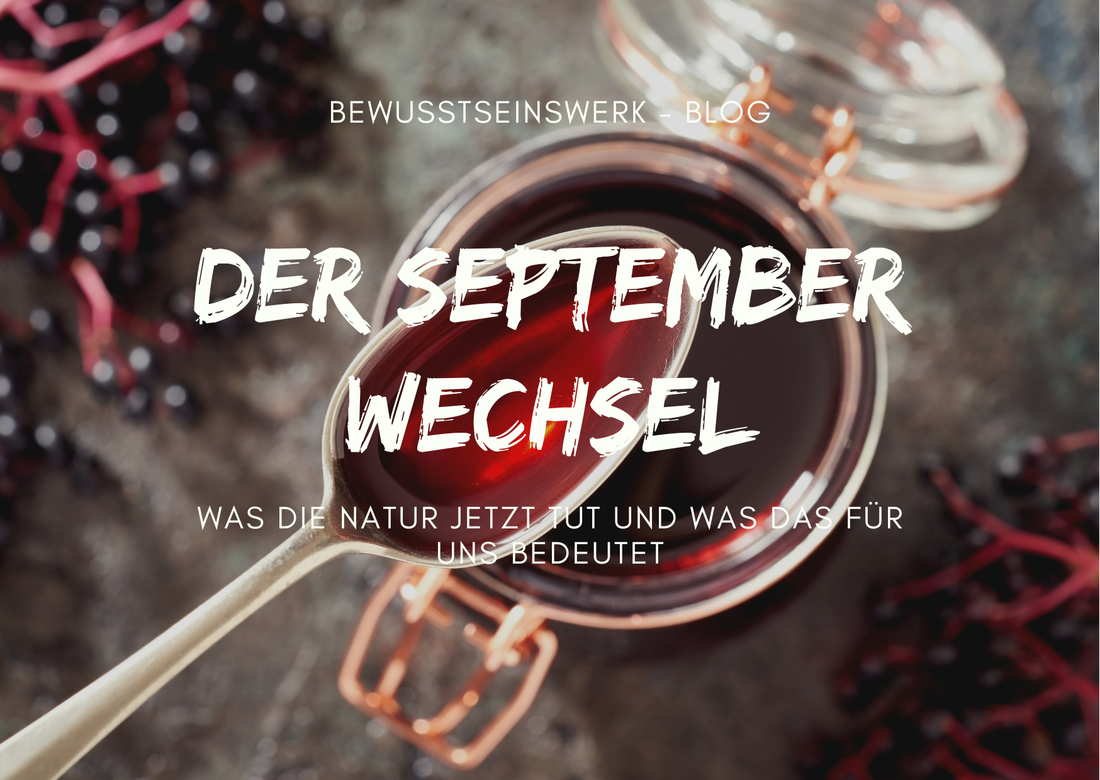 Der September Wechsel. Was die Natur jetzt tut und was das für uns bedeutet