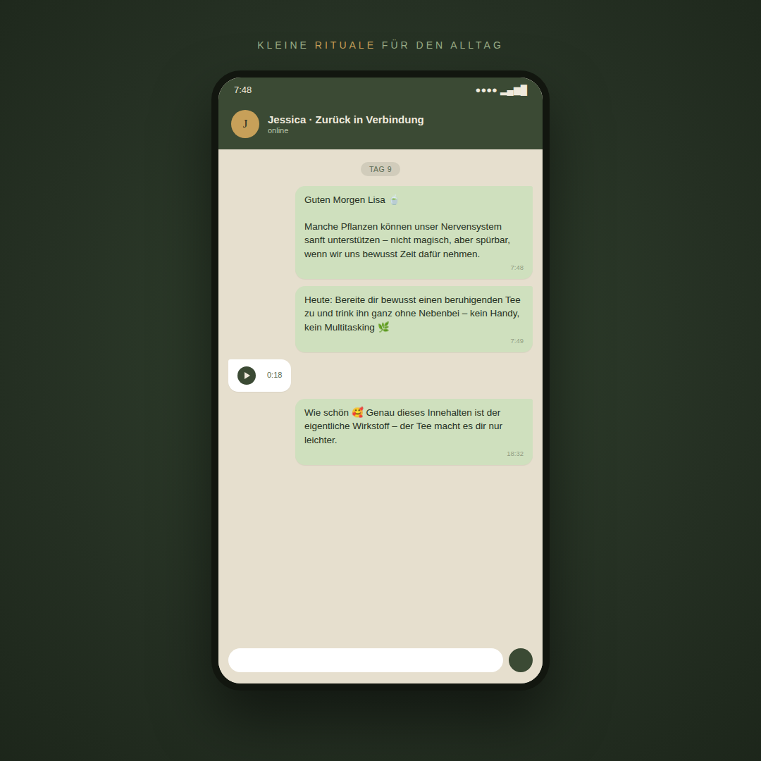 Zurück in Verbindung – Die 30-Tage-Heilkräuter-Begleitung | Persönliche WhatsApp/ E-mail -Begleitung + Zurück in Verbindung E-Book gratis dazu