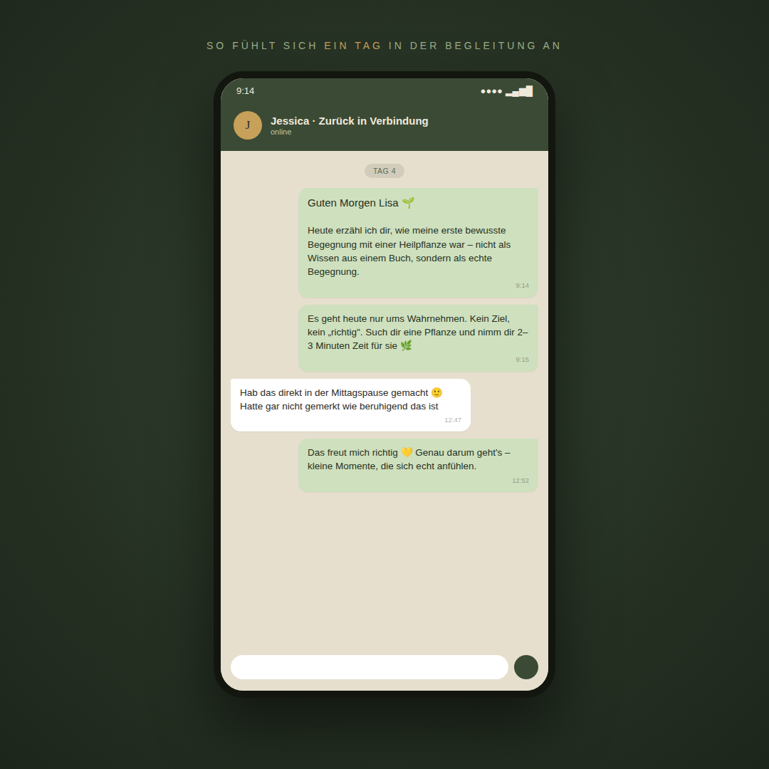 Zurück in Verbindung – Die 30-Tage-Heilkräuter-Begleitung | Persönliche WhatsApp/ E-mail -Begleitung + Zurück in Verbindung E-Book gratis dazu