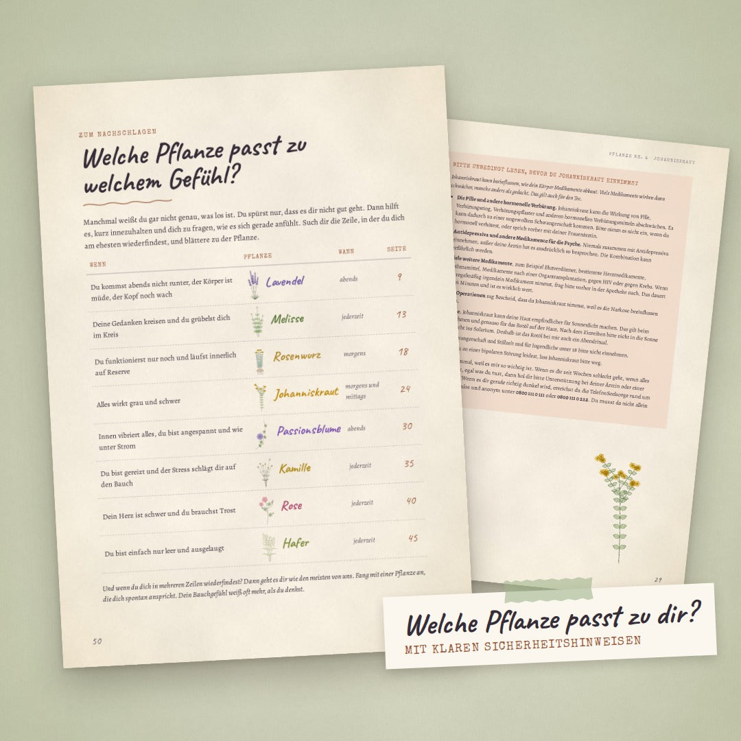 PDF - GUIDE: Funktionieren war gestern · Pflanzen für dein erschöpftes Nervensystem