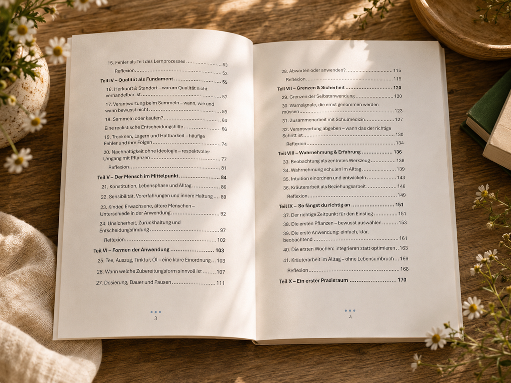 Taschenbuch - Zurück in Verbindung