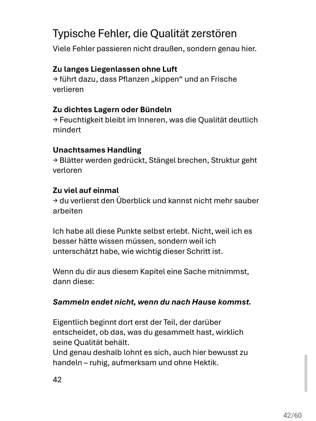 PDF Guide: Kräuter sammeln- Deine Grundausstattung