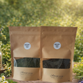 Artemisia annua Probierpaket – zwei Herkünfte im Vergleich