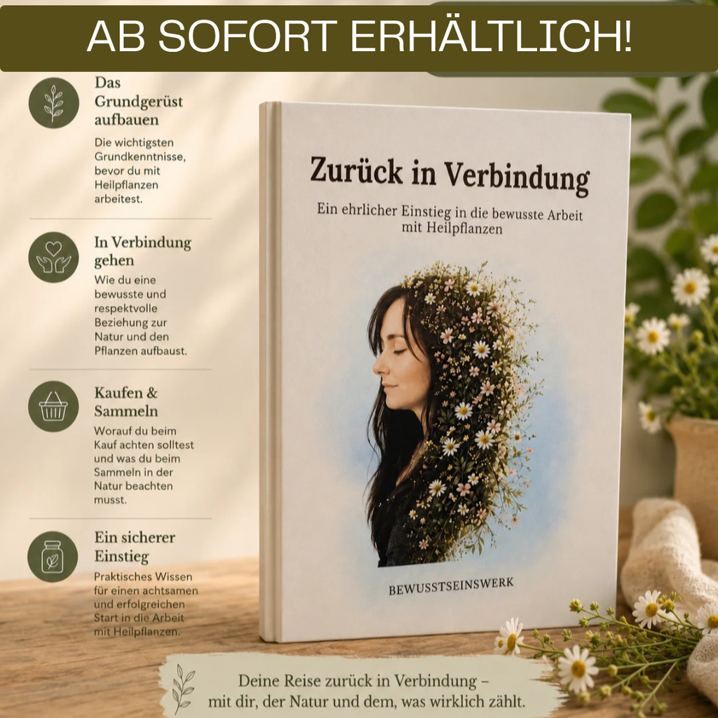 Taschenbuch - Zurück in Verbindung
