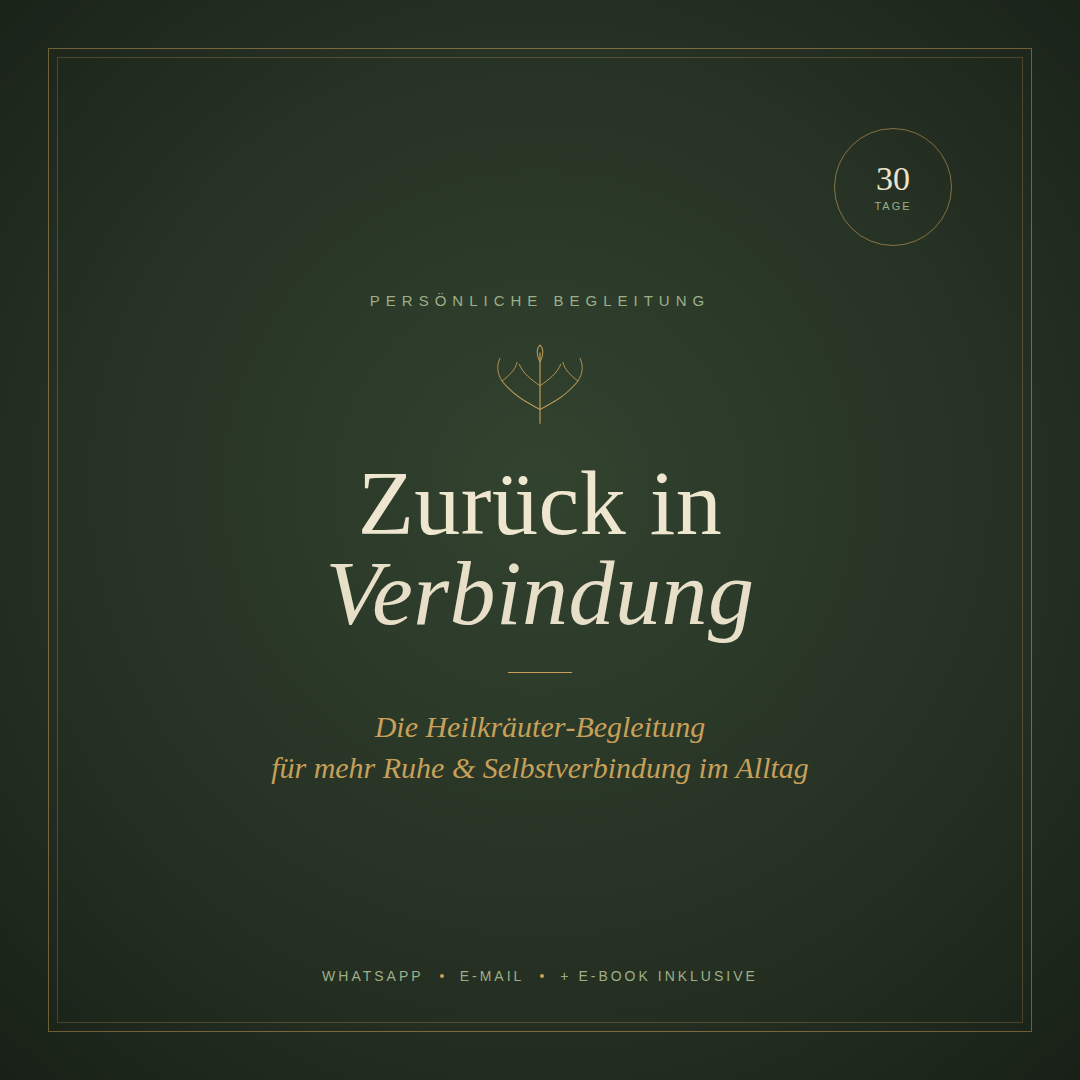 Zurück in Verbindung – Die 30-Tage-Heilkräuter-Begleitung | Persönliche WhatsApp/ E-mail -Begleitung + Zurück in Verbindung E-Book gratis dazu